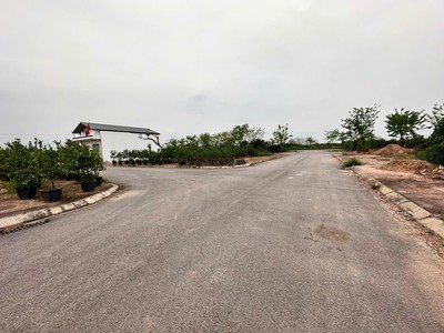 Đấu giá văn giang, gần đường 377,381c, kênh tây, vành đai 4, đường 8m thông, vỉa 1