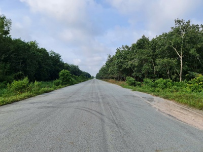 Bán đất cao su dt 3693.5m2 trên đường hcm bắc nam đoạn thanh tuyền dầu tiếng, bình dương 0