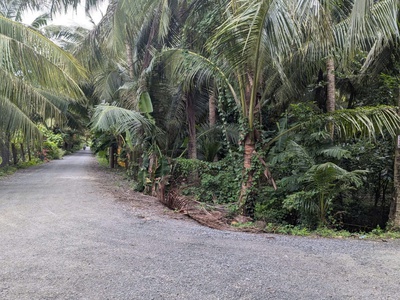 Cần bán lô đất vườn ở hòa định - chợ gạo - tiền giang. 0