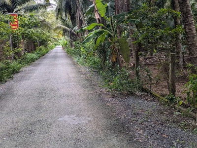 Cần bán lô đất vườn ở hòa định - chợ gạo - tiền giang. 2