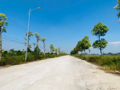 Bán đất phân lô tại Đồng tâm, Vĩnh yên, Vĩnh Phúc. DT 100m2 giá chỉ 2.45 tỷ 1