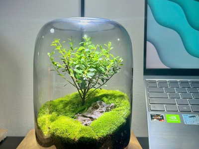 Khám phá những mẫu Terrarium độc đáo nhất tại Nhacocay 1