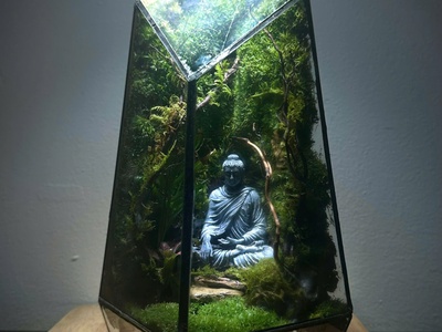 Khám phá những mẫu Terrarium độc đáo nhất tại Nhacocay 2