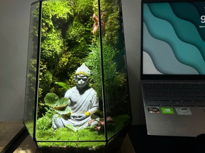 Khám phá những mẫu Terrarium độc đáo nhất tại Nhacocay 3