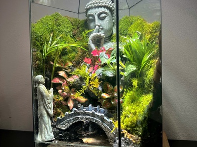 Khám phá những mẫu Terrarium độc đáo nhất tại Nhacocay 5