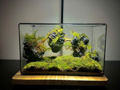 Khám phá những mẫu Terrarium độc đáo nhất tại Nhacocay 6