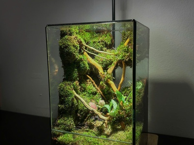 Khám phá những mẫu Terrarium độc đáo nhất tại Nhacocay 7