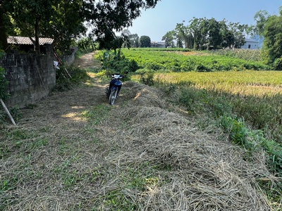 Bán 2000m2 đất lúa được chuyển đổi cln ont gần kcn nam lương sơn giá chỉ 800tr. 0