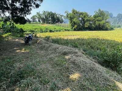 Bán 2000m2 đất lúa được chuyển đổi cln ont gần kcn nam lương sơn giá chỉ 800tr. 2