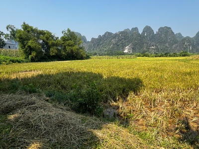 Bán 2000m2 đất lúa được chuyển đổi cln ont gần kcn nam lương sơn giá chỉ 800tr. 3