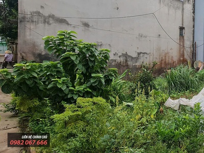 Chính chủ cần bán đất   sổ đỏ trao tay   50m2   mai lâm   đông anh 1