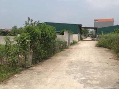 Bán 110m2 đất xã tân dân, huyện phú xuyên tiềm năng đầu tư. 1