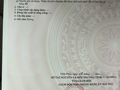 Bán biệt thự  lô góc 377m2 x 2 mặt tiền trung tâm tp vĩnh yên, tỉnh vĩnh phúc 3