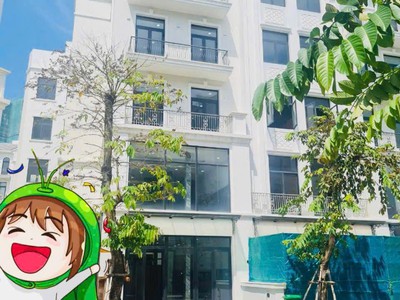Cho thuê căn góc nhà phố manhatan 204m2 giá 49 triệu có thương lượng cho khách thiện chí 0