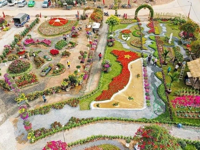 Bán đất đấu giá lô góc 127m thôn 7 xuân quan giá siêu nét cho nhà đầu tư 4