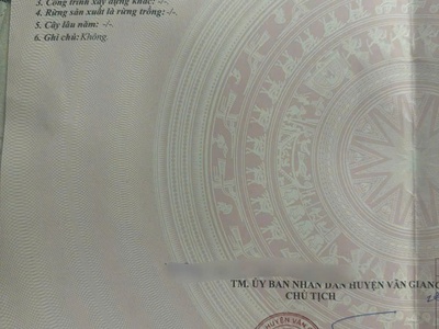 Bán đất đấu giá lô góc 127m thôn 7 xuân quan giá siêu nét cho nhà đầu tư 0