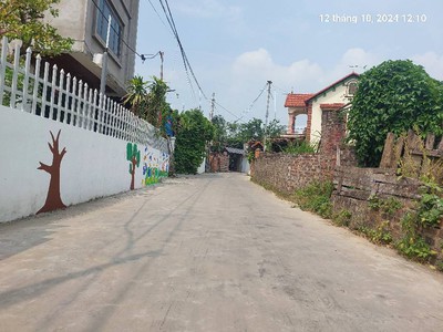 Chính chủ e bán: 80m2, mt4.5m, ô tô tải, thông, gần chợ, 1.99 tỷ, thanh trí, sóc sơn. 3