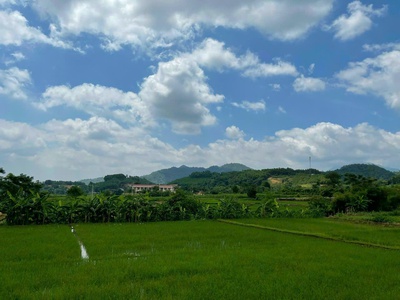 Đất chính chủ - giá tốt - vị trí đẹp tại thôn quýt, xã yên bài, huyện ba vì, thành phố hà nội 2