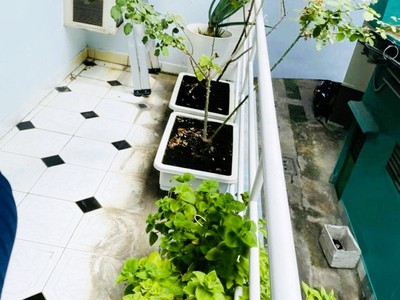 Bán gấp- khu vip nguyễn trọng tuyển-  4,2x15m - 7,6 tỷ 3