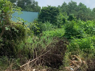 Bán lô đất đẹo 600m2 shr làm nhà vườn xã thạnh phú , vĩnh cửu chỉ 3ty6 tl 0