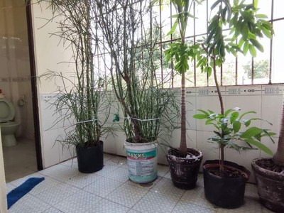 Bán nhà mặt tiền mỹ huề trung chánh hóc môn giá rẻ - nhà 2 tầng 4.6x36m - kinh doanh mua bán - giá 3