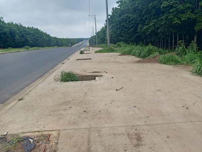 Đất mặt tiền cao tốc Bắc Tân Uyên - Phú Giáo - Bàu Bàng  Bình Dương 3