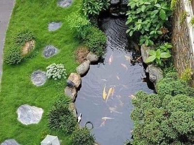 Tư vấn thiết kế thi công sân vườn đẹp ở Đồng Nai 2025 0