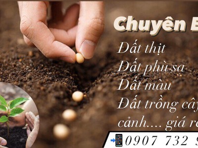 Cung cấp đất màu trồng cây giá tốt tại Đồng Nai, Long An, Vũng Tàu 0