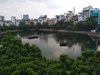 Cho thuê căn hộ dịch vụ view thằn lằn bám kính tại đống đa 0