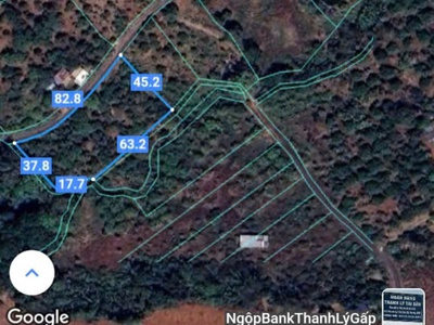 Đất chủ cần bán,vị trí tại hoa long,kim long châu đức bà rịa vũng tàu. 0