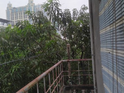 Cho thuê nhà đầu hồi 2 mặt thoáng TDT 50m2 nhà D2 nguyễn công trứ Q.Hai Bà Trưng Hà nội giá rẻ 2