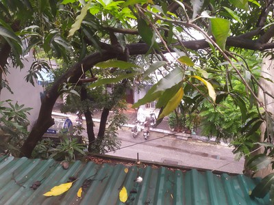 Cho thuê nhà đầu hồi 2 mặt thoáng TDT 50m2 nhà D2 nguyễn công trứ Q.Hai Bà Trưng Hà nội giá rẻ 5