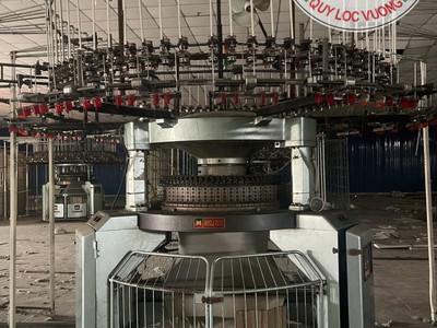 Bán nhà xưởng sản xuất dệt nhuộm 15.000 m2 trong KCN Hải Sơn, Long An 1