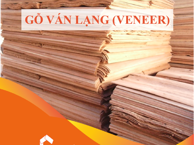 Thủ tục xuất khẩu gỗ ván lạng Veneer 0