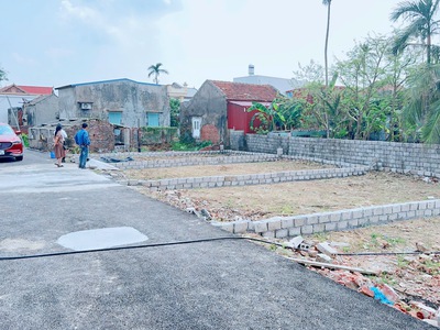 Bán bạt phân lô tại thôn Vũ Vị, Minh Tân, Kiến Thụy, Hải Phòng 5