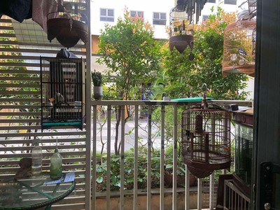 Căn hộ 95m2 3PN 2 WC Homyland 3  Riverside  full nội thất 1