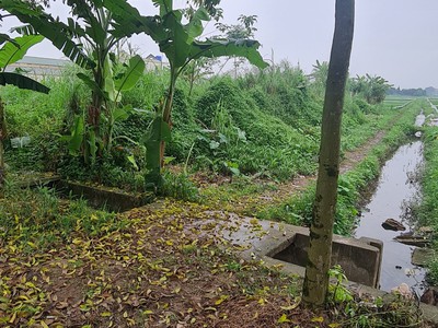 Bán đất diện tích 120m, mt 5m, ô tô tránh, tổ 6 phường hoàng diệu, tp thái bình, 2