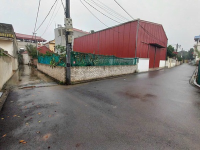 Bán 41.3m2 đất thổ cư xóm nguyễn, tiên hùng, nguyên khê, đông anh, hà nội 0