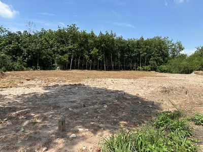 Bán đất Long Tân, Dầu Tiếng gần đường lộ DH716, sổ hồng riêng 100m thổ 0