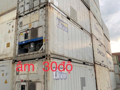 Mặt máy Daikin, Thermoking, Carrier cấp đông siêu nhanh 1