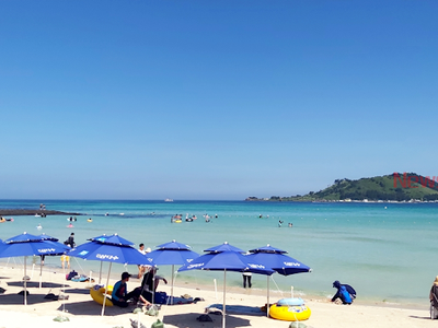 Du lịch đảo Jeju: Bãi biển đẹp, núi lửa Halla và làng quê truyền thống 0