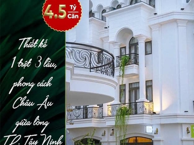Nhà phố thương mại mai anh  tp tây ninh 2