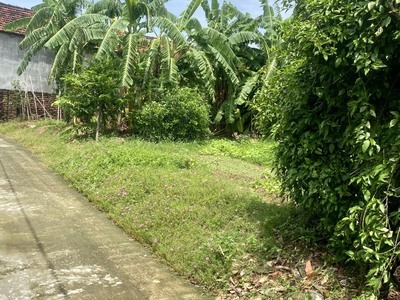 Chính chủ bán đất đẹp - giá tốt diện tích 235m2, mt 18m, nở hậu 19m, full thổ cư 100, chia được 3