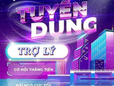 Cần tuyển trợ lý, chuyên viên bđs khu vực hà nội 0