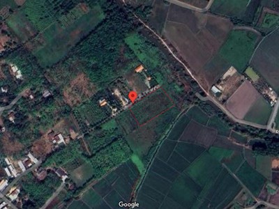 Đất nở hậu đường 565 củ chi, 0.4ha, 79x46m, đ.6m chỉ 2x tỷ 0