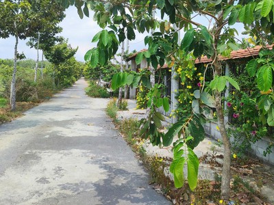 Đất nở hậu đường 565 củ chi, 0.4ha, 79x46m, đ.6m chỉ 2x tỷ 1