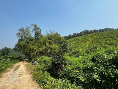 Cần bán đất đồi làm homestay, kinh doanh dịch vụ du lịch, diện tích 1,3ha giá 1,5 tỷ. 1