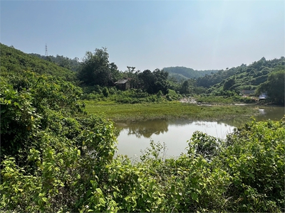 Cần bán đất đồi làm homestay, kinh doanh dịch vụ du lịch, diện tích 1,3ha giá 1,5 tỷ. 0