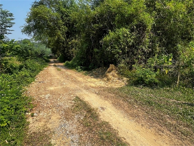 Cần bán đất đồi làm homestay, kinh doanh dịch vụ du lịch, diện tích 1,3ha giá 1,5 tỷ. 3