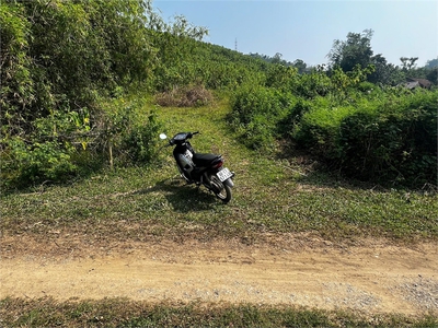 Cần bán đất đồi làm homestay, kinh doanh dịch vụ du lịch, diện tích 1,3ha giá 1,5 tỷ. 4